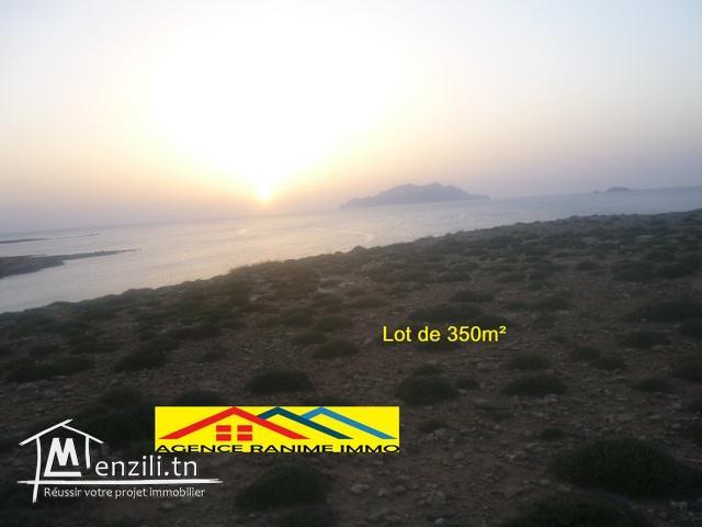 Lot de terrain 350m2 orienté de  la mer el haouaria