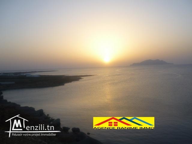 Lot de terrain 350m2 orienté de  la mer el haouaria