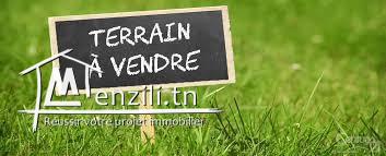 Terrain à Ennassr Pour Promoteur