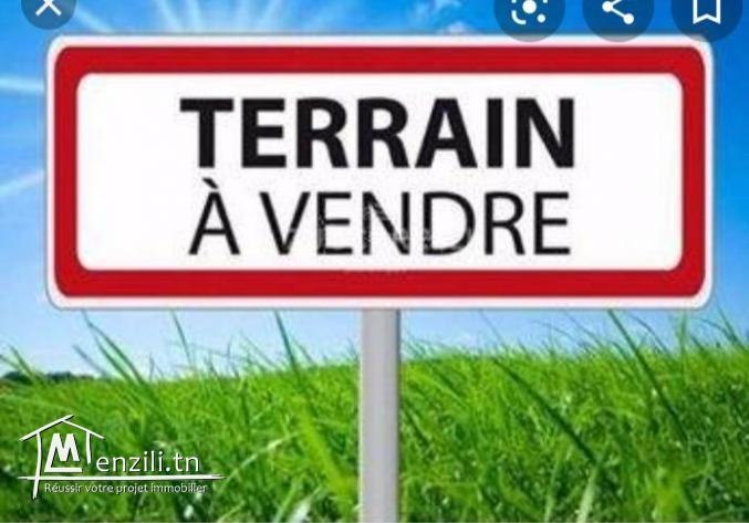 أرض فلاحية للبيع تحتوي على 3 منازل 