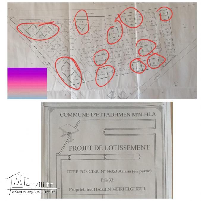 Vente de lots à l'mnihla