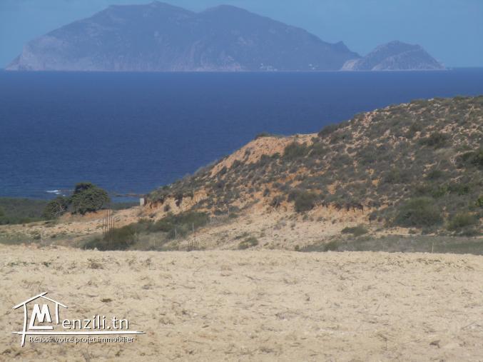 terrain a vendre situé el hawaria plage  sable blanc