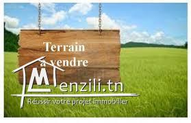 Terrain à Ennassr pour investissement