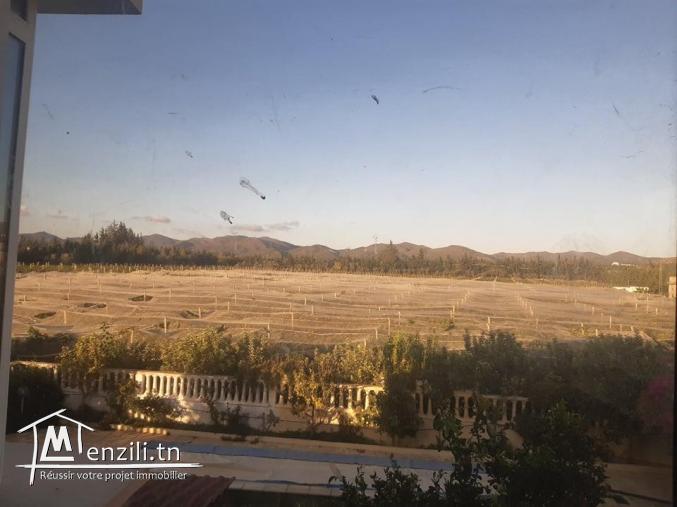 Un terrain agricole de 500m² situé à Abebsa Mornag