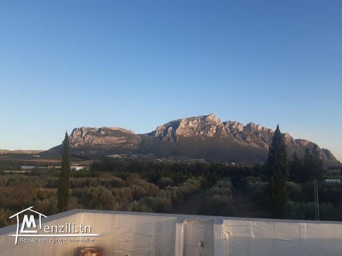 Un terrain agricole de 500m² situé à Abebsa Mornag