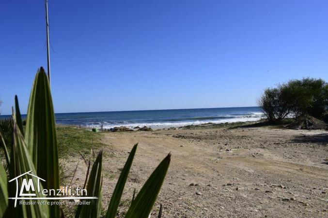 terrain à vendre à kerkwane vue mer
