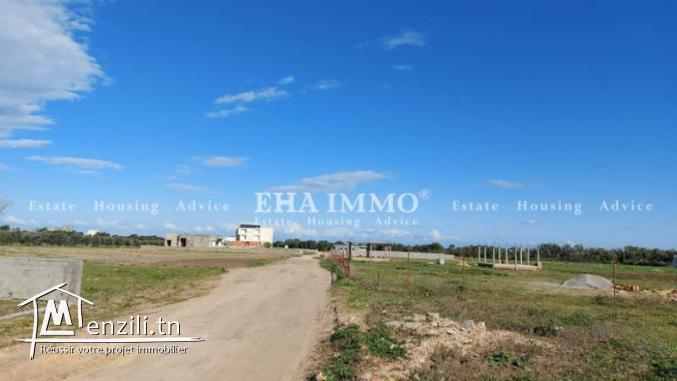 terrain à vendre à kerkwane vue mer