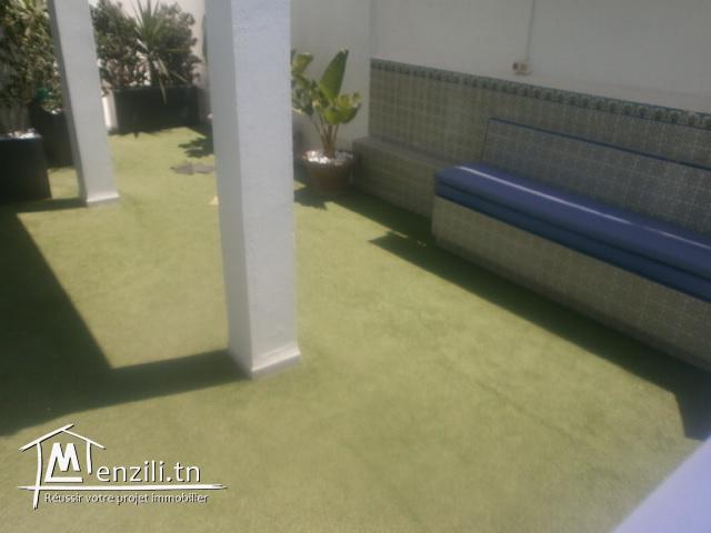 villa avec piscine et jardin terrasse