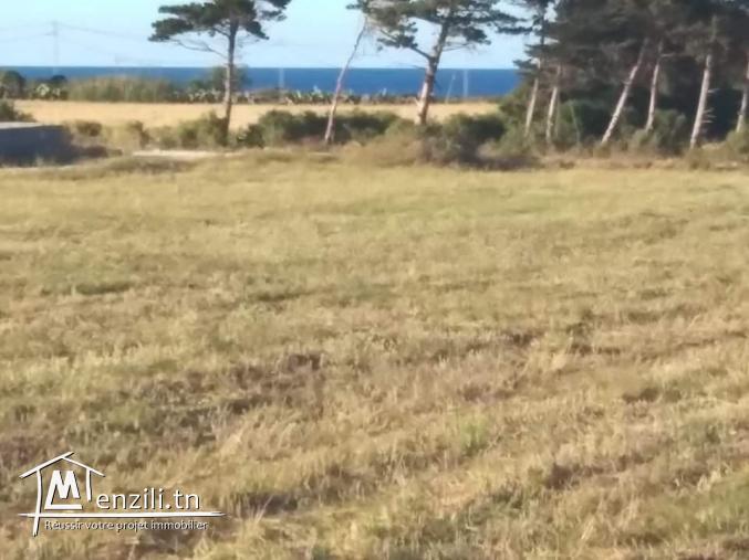 Terrain à plage dar allouch