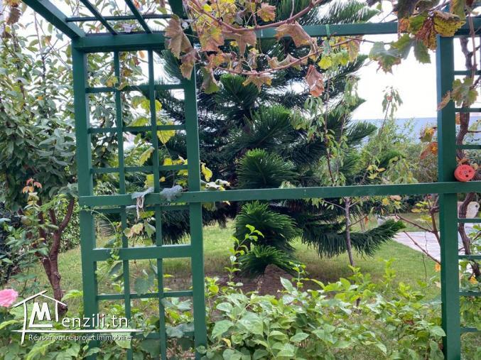 A VENDRE Terrain agricole à Sidi Bou Ali