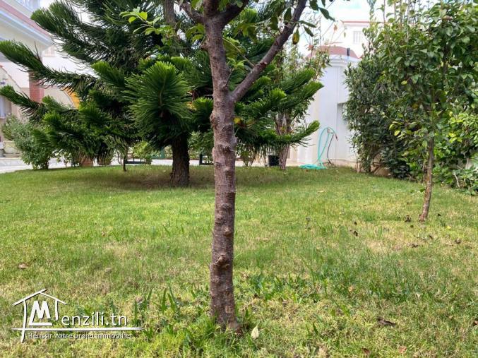 A VENDRE Terrain agricole à Sidi Bou Ali