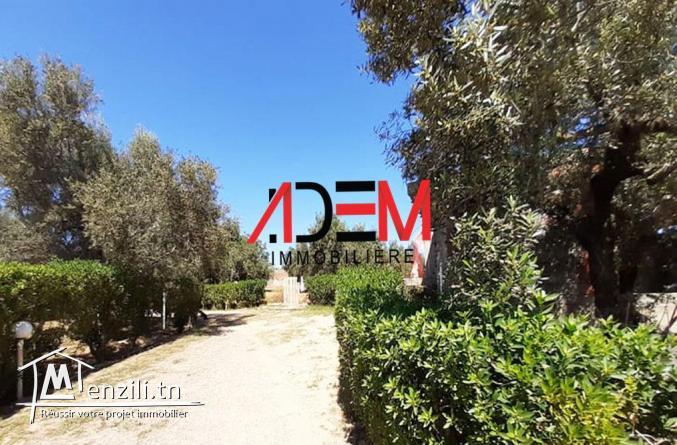 Terrain agricole 6634m²