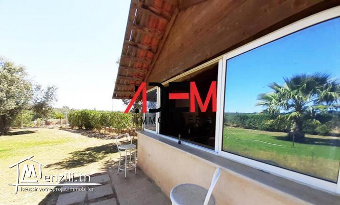 Terrain agricole 6634m²