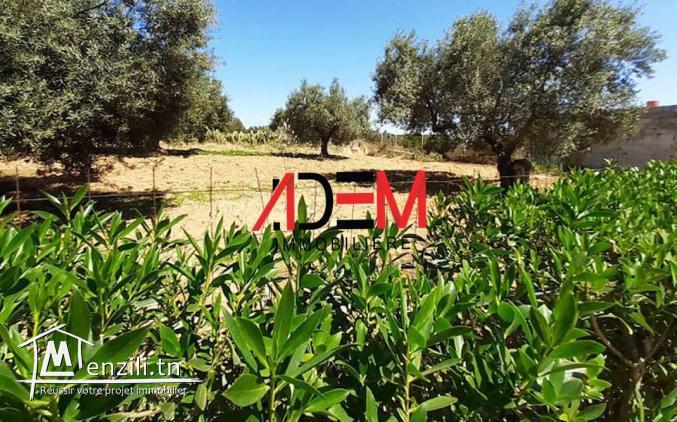 Terrain agricole 6634m²