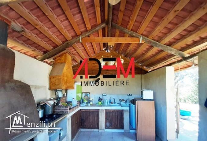 Terrain agricole 6634m²