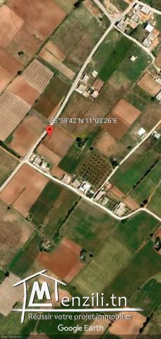 تقسيم جديد على الطريق الرئيسي معبد شط دار علوش