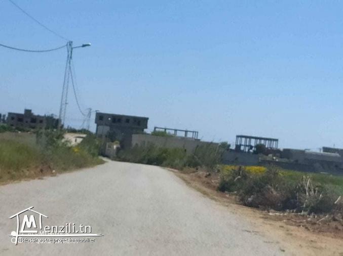 تقسيم جديد على الطريق الرئيسي معبد شط دار علوش