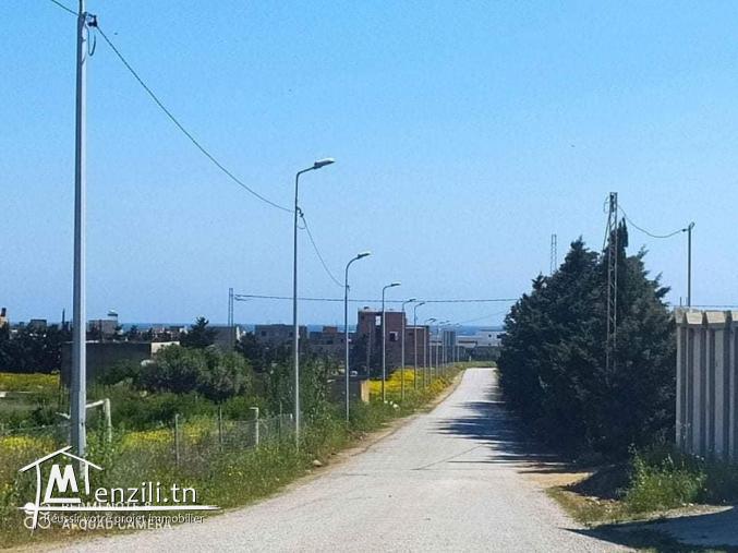 تقسيم جديد على الطريق الرئيسي معبد شط دار علوش