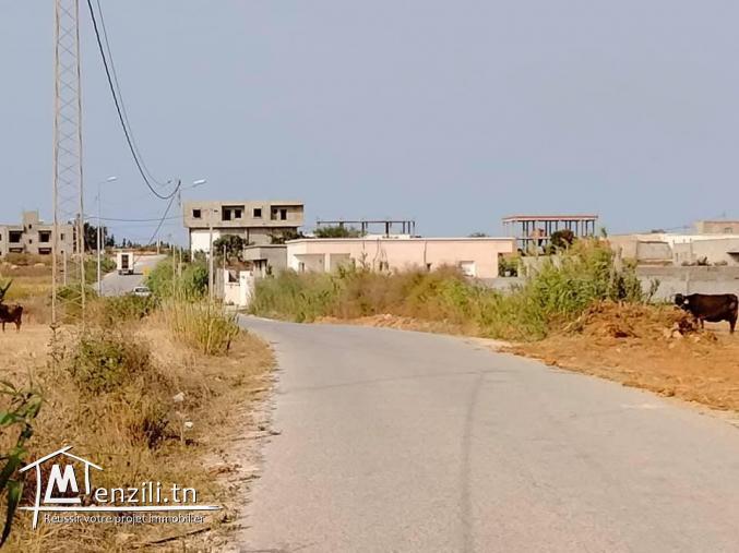 تقسيم جديد على الطريق الرئيسي معبد شط دار علوش