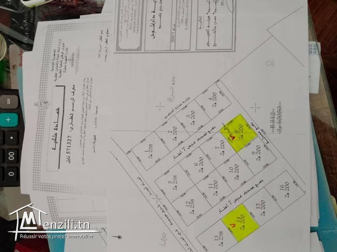 تقسيم جديد على الطريق الرئيسي معبد شط دار علوش