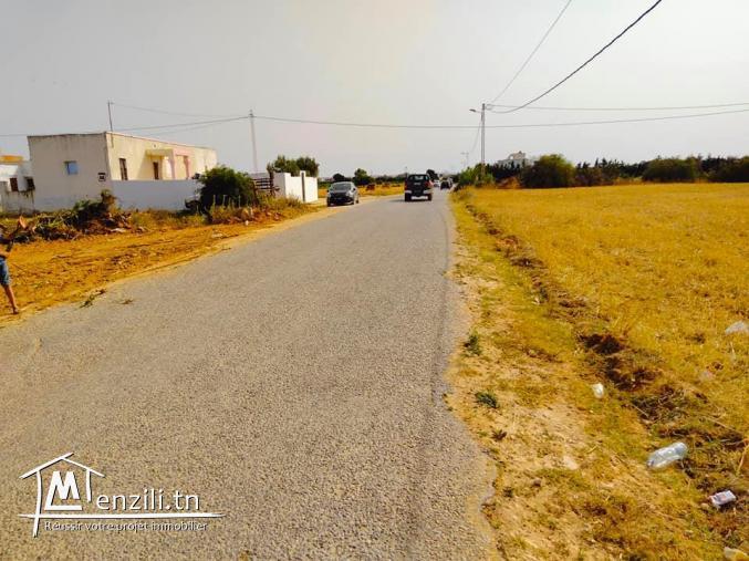 تقسيم جديد على الطريق الرئيسي معبد شط دار علوش