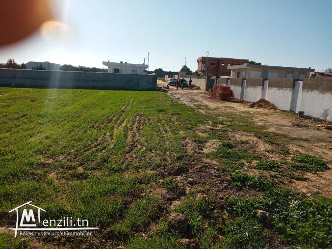 إشري #بالرخيص وبيع غدوة #بالغالي