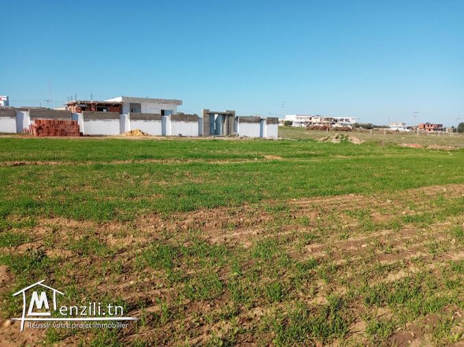 إشري #بالرخيص وبيع غدوة #بالغالي