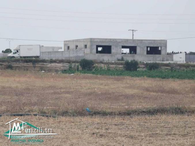 VT623:Terrain 5000 m² à Kelibia