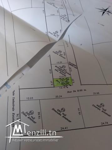 Terrain entre Kelibia et Hammam Ghuezaz