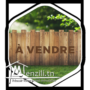 a vendre un terrain agricole