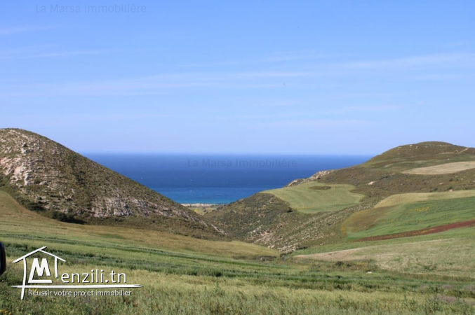 Un chalet campagnard à 70m de la plage, Cap Angela