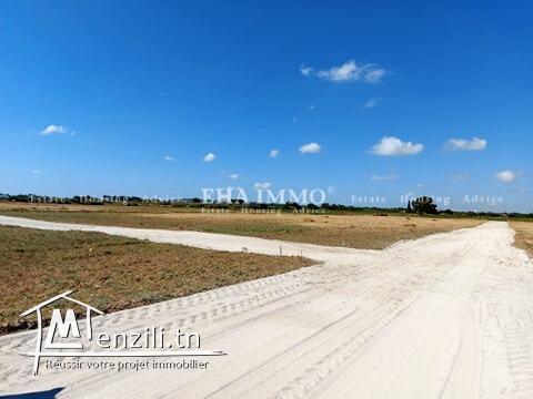 Terrain de 170 m2  à vendre au capbon kélébia