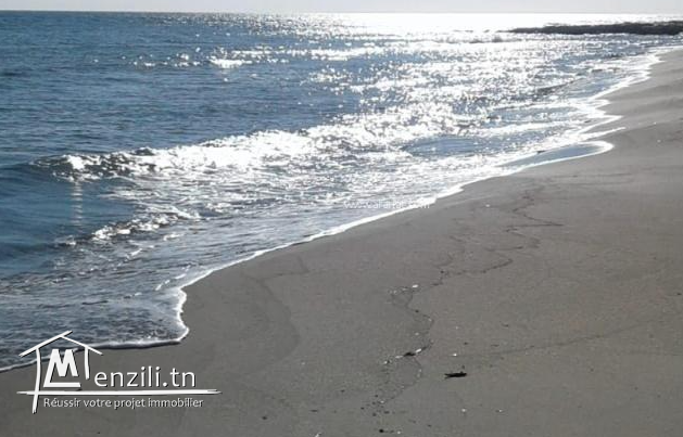 Terrain de 170 m2  à vendre au capbon kélébia