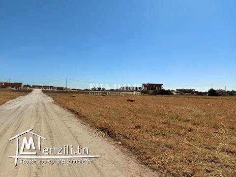 Terrain de 170 m2  à vendre au capbon kélébia