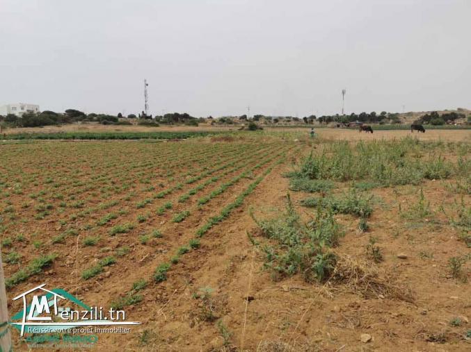 VT628:Terrain 470 m² à Kelibia la blanche