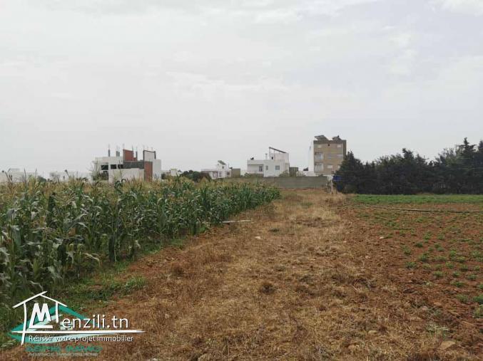 VT628:Terrain 470 m² à Kelibia la blanche