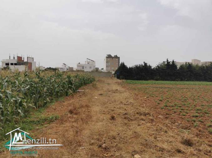VT628:Terrain 470 m² à Kelibia la blanche