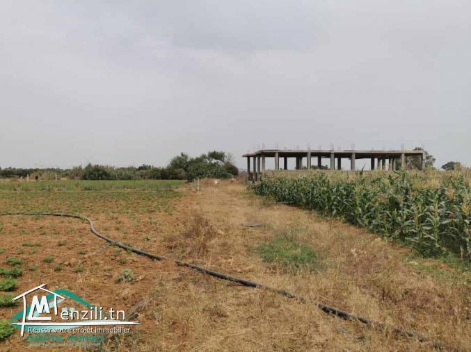 VT628:Terrain 470 m² à Kelibia la blanche