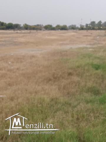 Terrain d' investissement