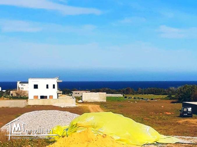 terrain à kerkwan kelibia