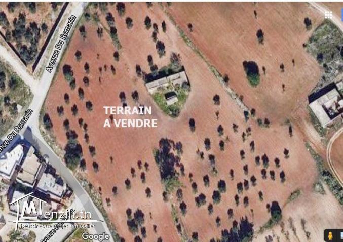 Terrain à Jarrdin d'el Menzah2