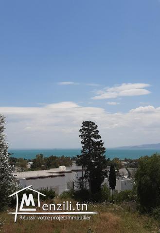 A Louer luxueuse villa s3 meublée avec piscine à Carthage