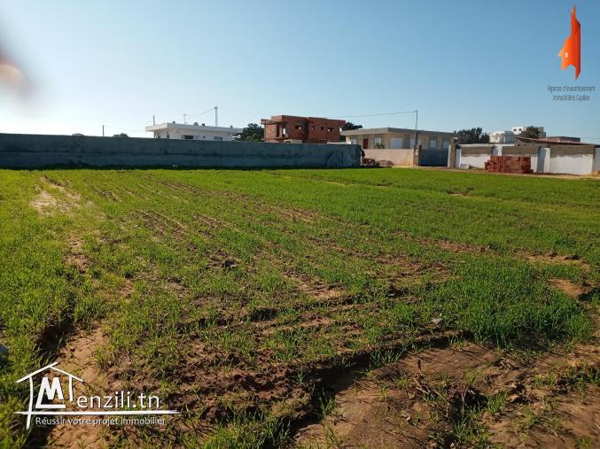 بشهادة ملكية تشري وعينك مغمضة