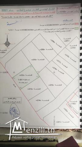 terrain a khzema  saniet el yemni