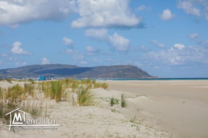 terrain à dar allouch kelibia