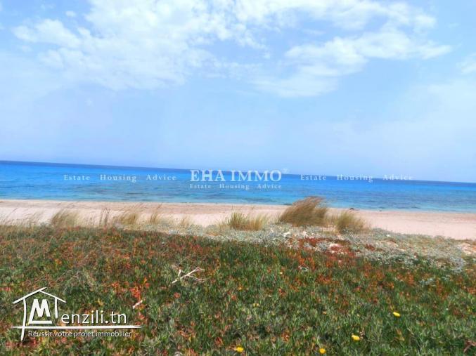 أرض ذات صبغة سكنية في دار علوش/ قليبية