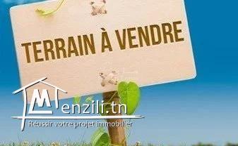 VENTE TERRAIN	HAMMAM SOUSSE