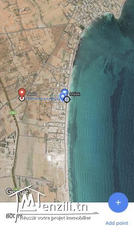 Terrain a salakta 600m de la plage ejjoul