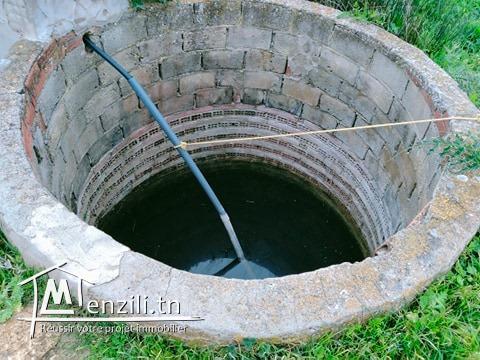 قطعة أرض بتمزرات