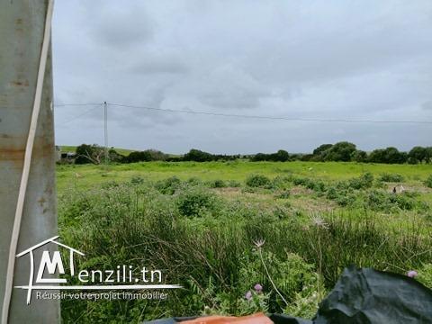 قطعة أرض بتمزرات